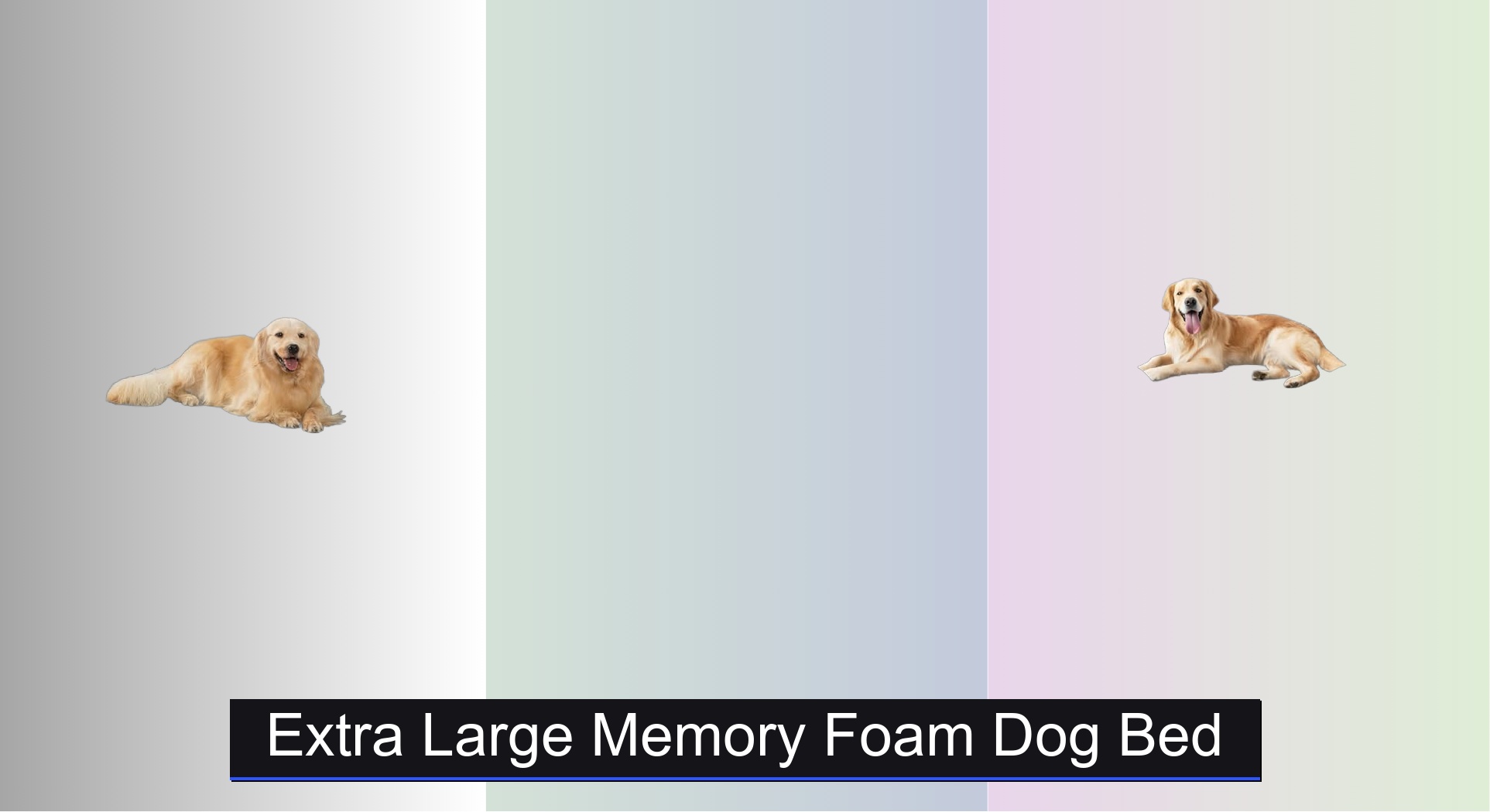 Fresh Look at 7 Best Extra Large Memory Foam Dog Beds Of 2025