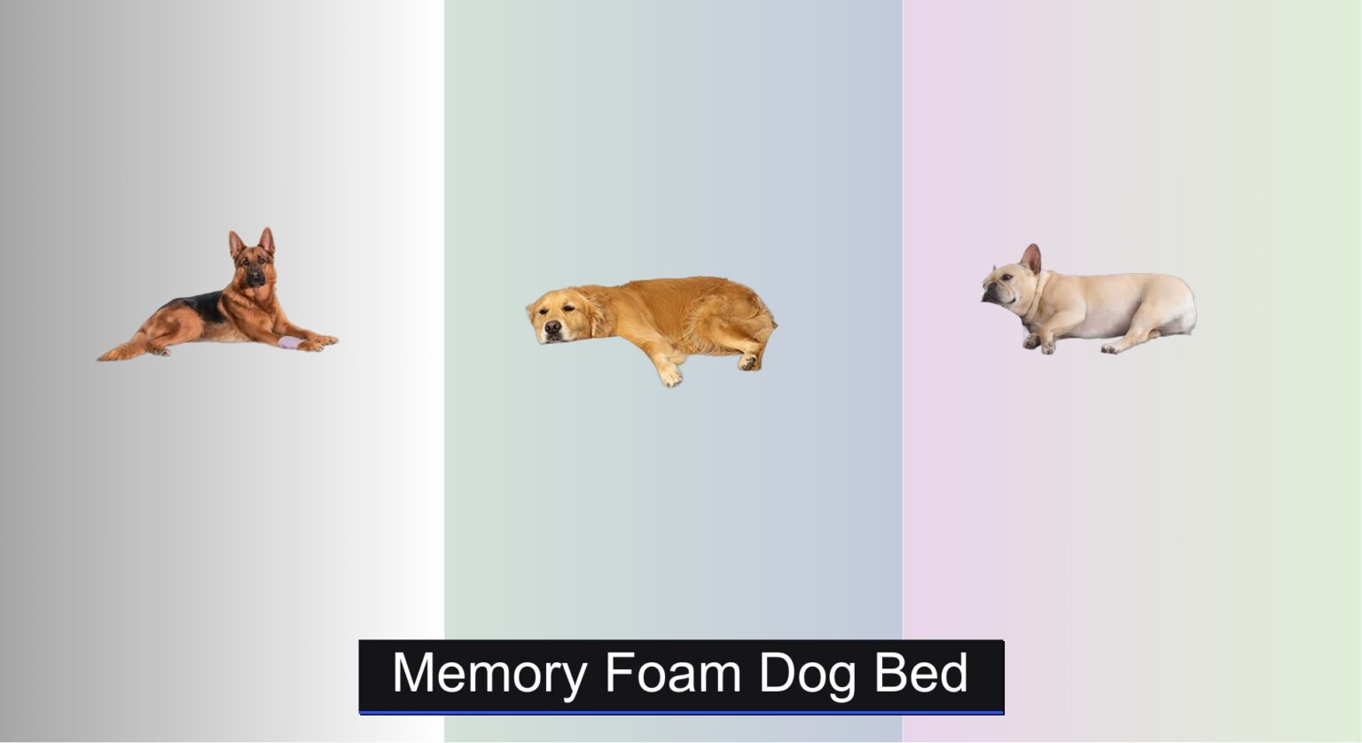 Picture of 8 Best Memory Foam Dog Beds to Buy in 2025