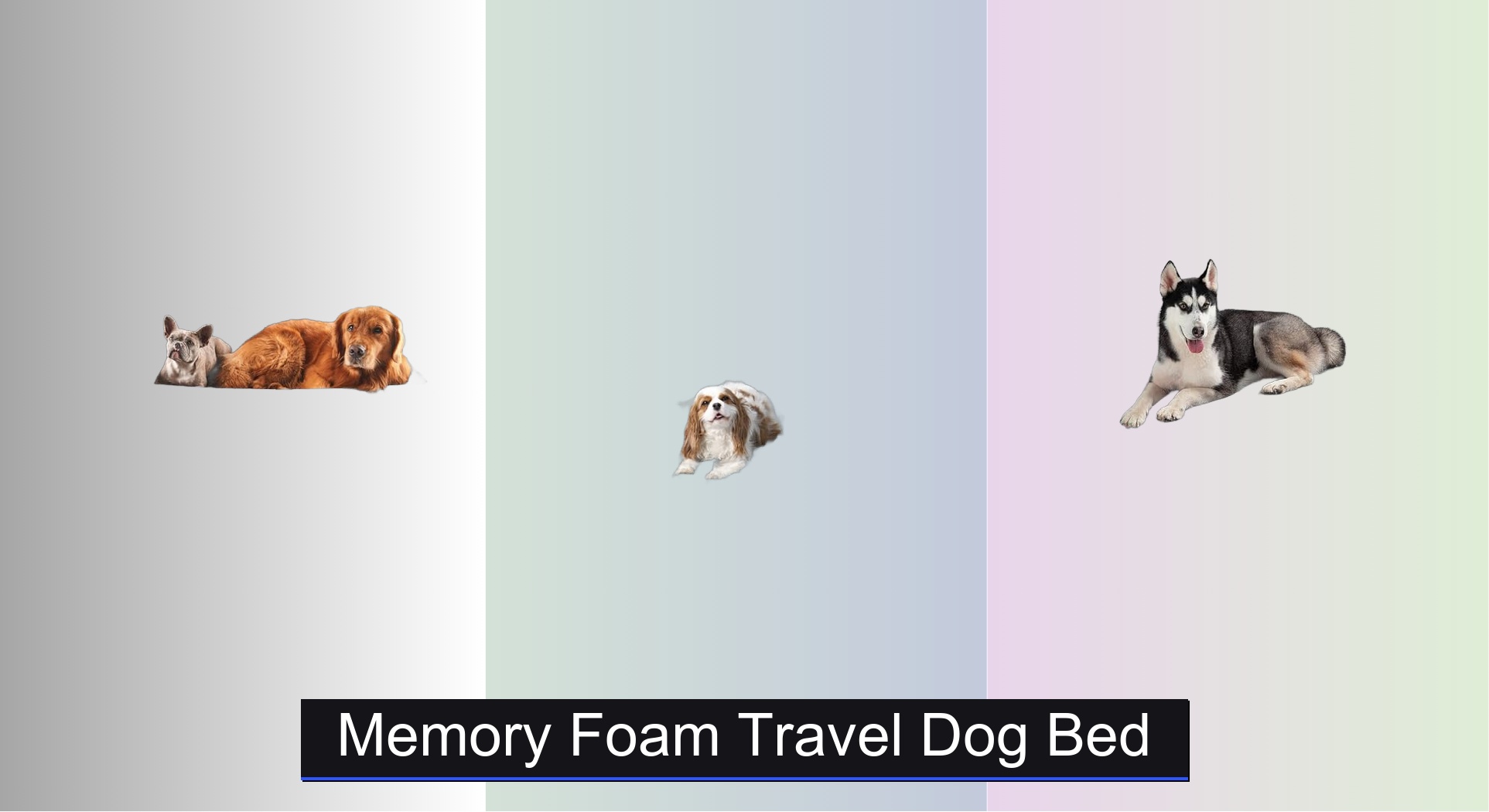 9 Best Memory Foam Travel Dog Beds of 2025