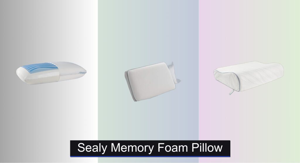 5 Best Sealy Memory Foam Pillows to Buy in 2025